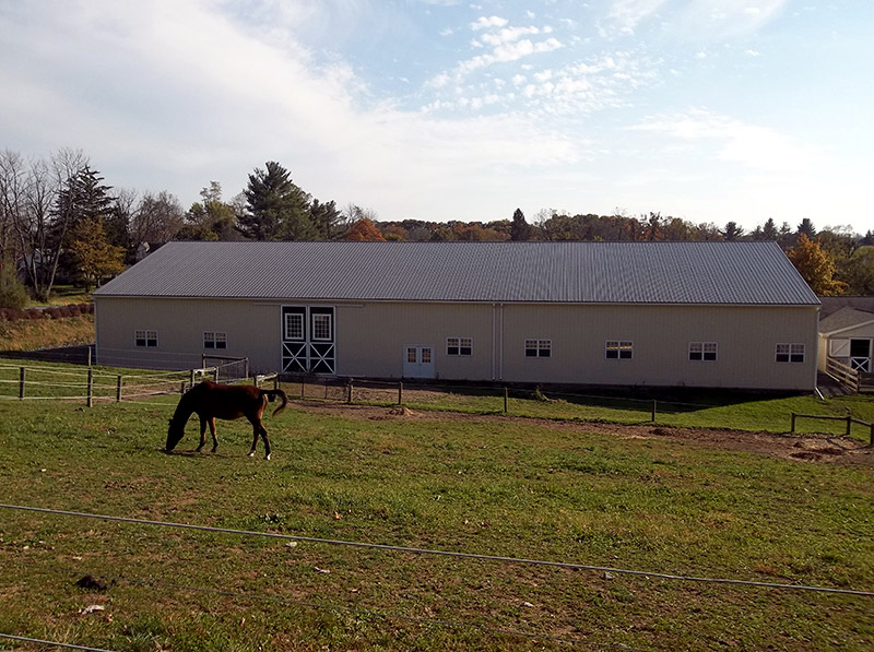 horse outside equine pole building