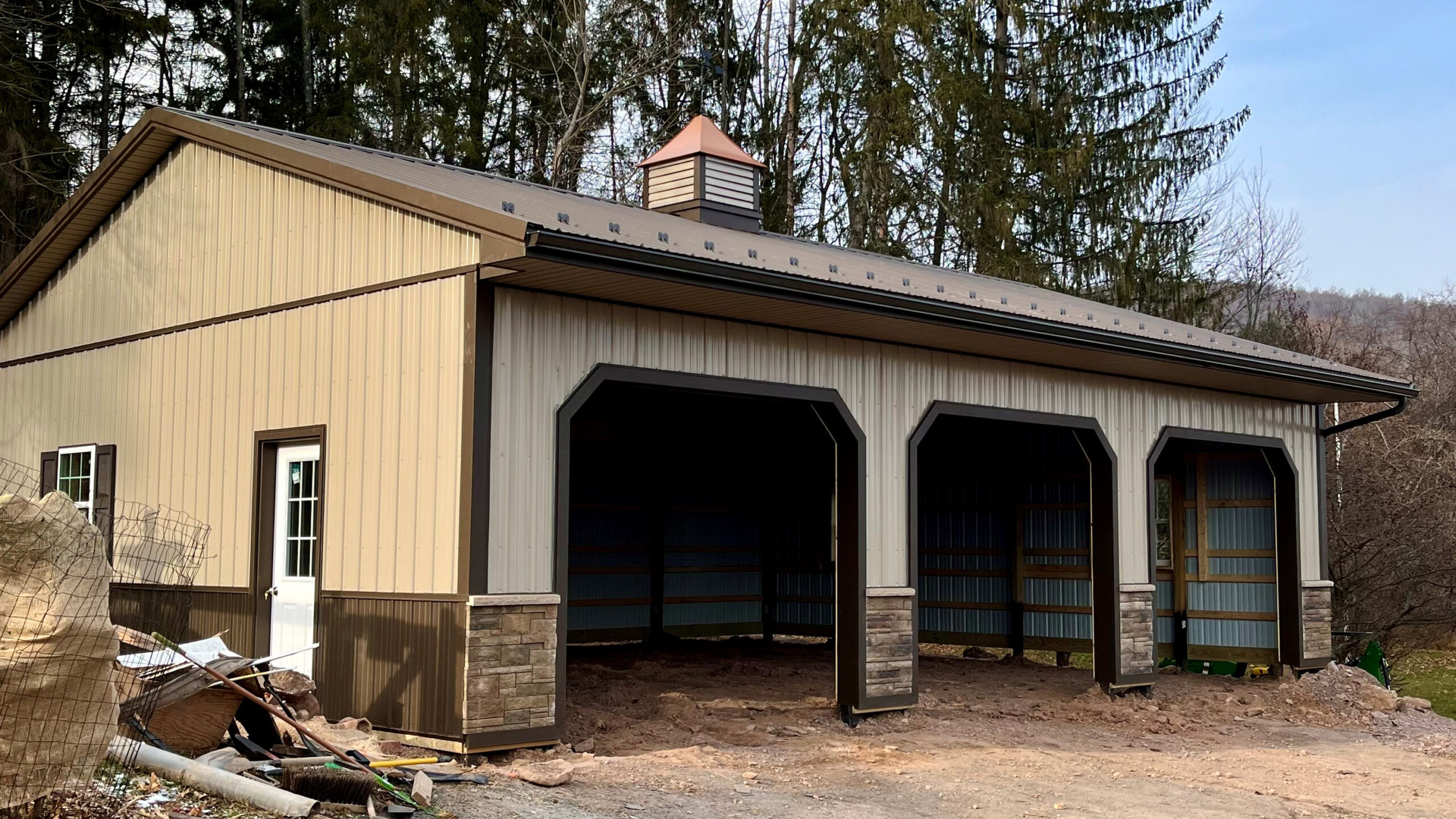 horse outside equine pole building