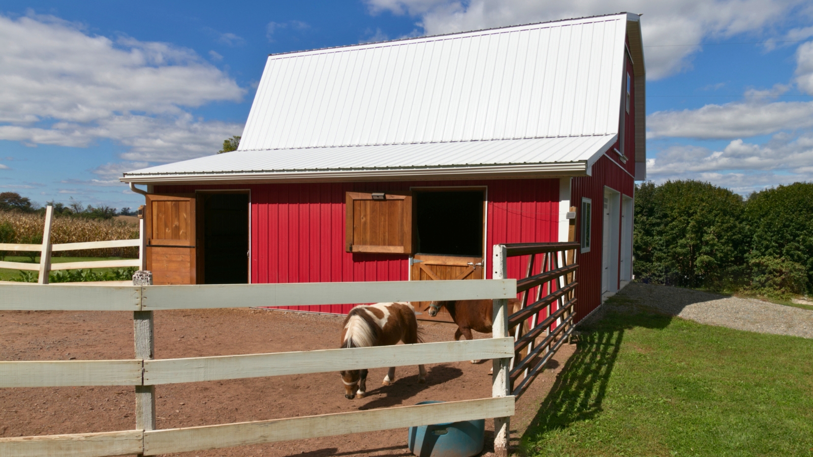 24'x28'x10' Pole Building with 10'x28' Fully enclosed Lean To