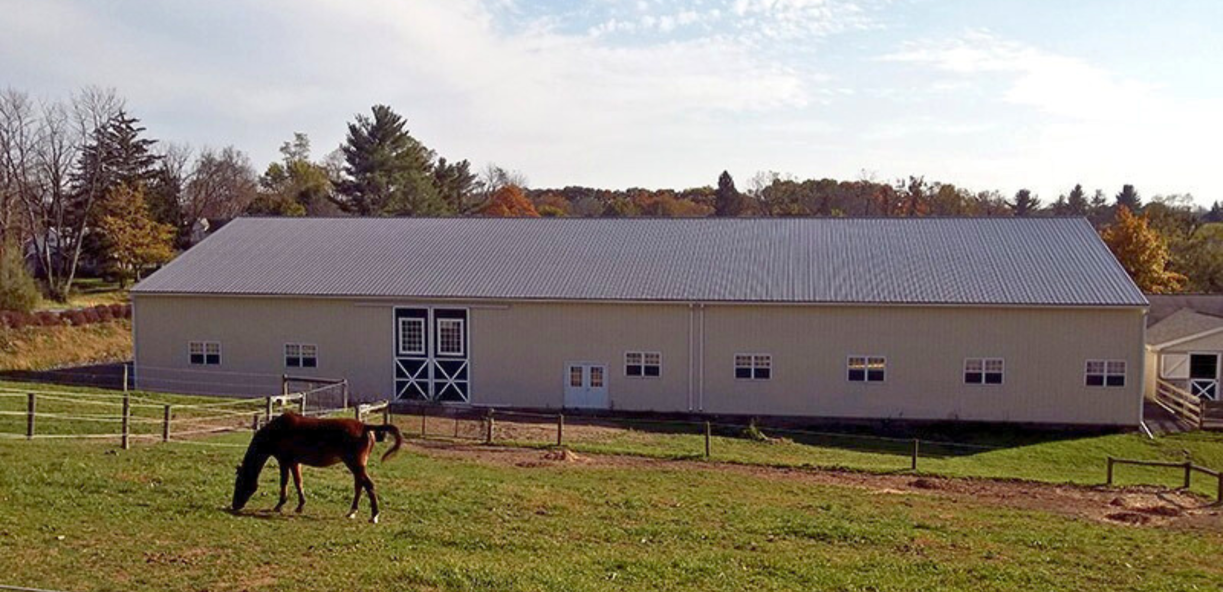 horse outside equine pole building