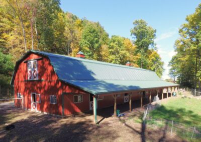 40x100x11 Agricultural with lean-to