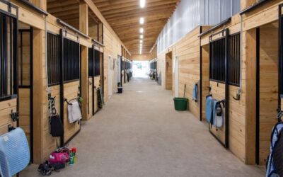 Center Aisle vs Shed Row Horse Barn