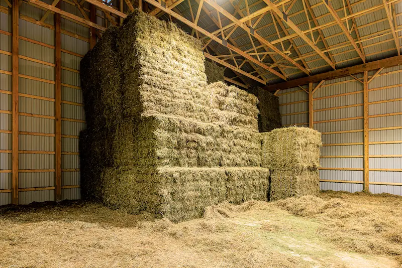 Hay storage inside a clear-span post-frame building